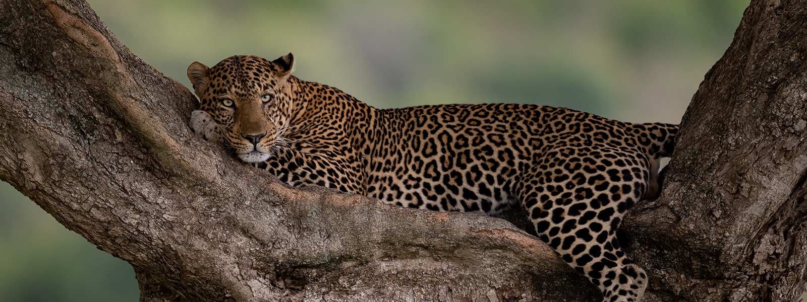 Landscape of Samburu National Reserve